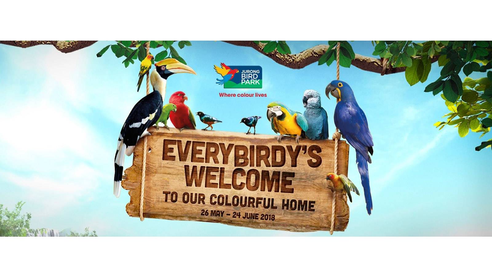 kids–50-awesome-things-to-do-this-school-holiday-Birdpark