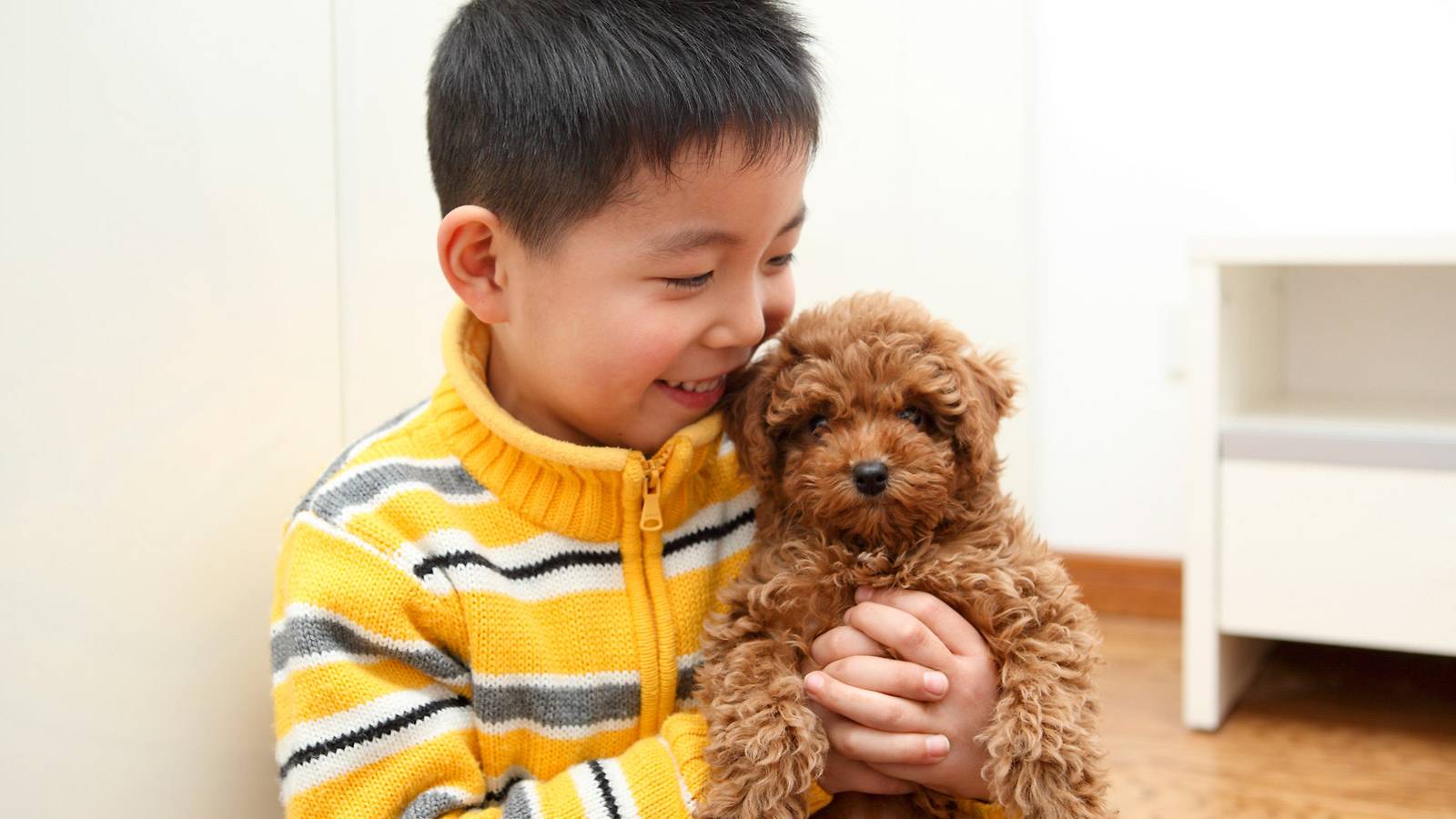 Kids--Getting-a-family-pet-6-facts-to-note