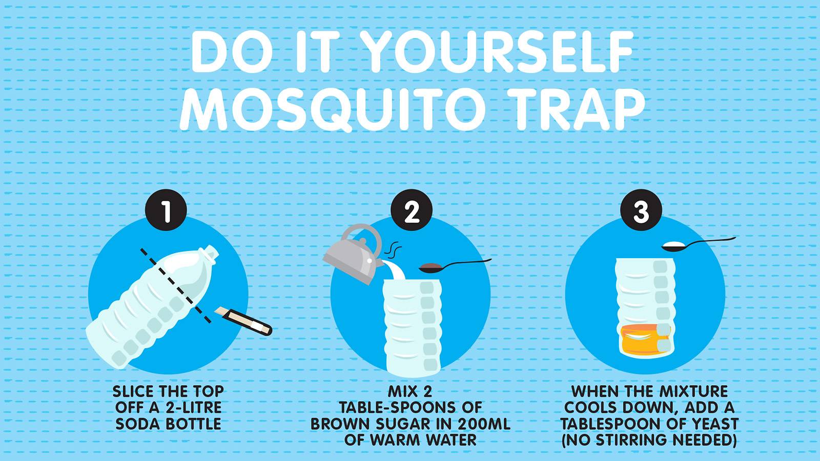 Parents-–-Natural-ways-to-keep-mosquitoes-at-bay-5