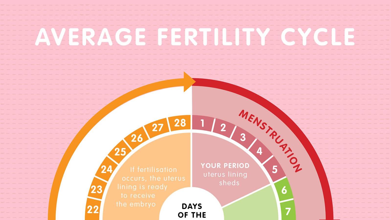 Conceiving-–-Know-when-you're-fertile-with-this-easy-chart1a