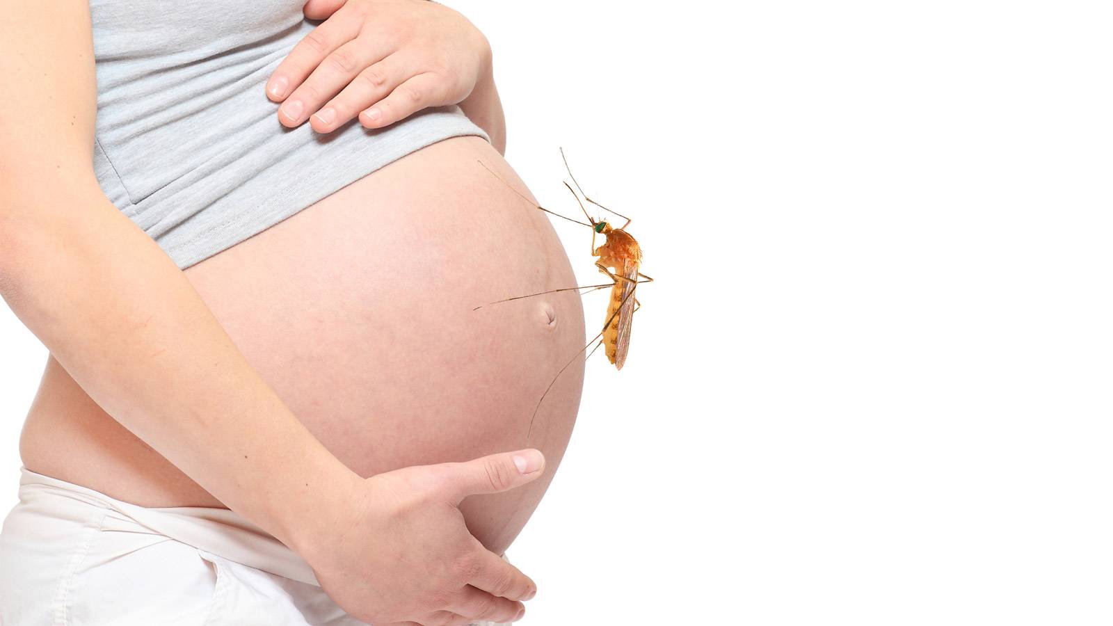 Pregnancy--Pregnancy-Zika-4-facts-to-know-about-microcephaly-main