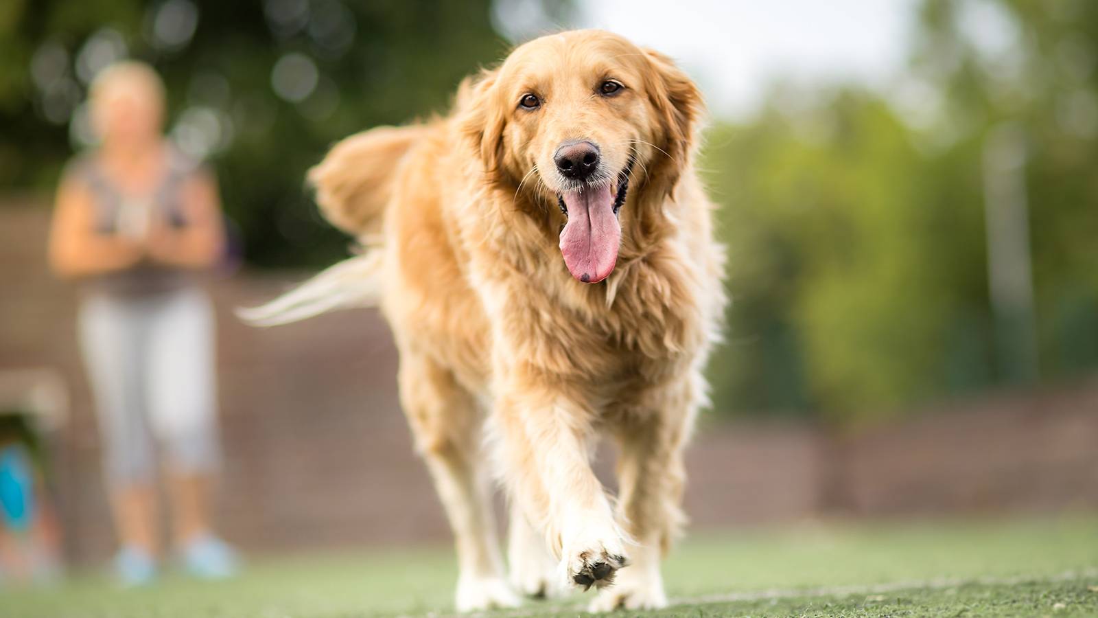 Tots-How-to-help-a-friend-with-a-sick-child-2