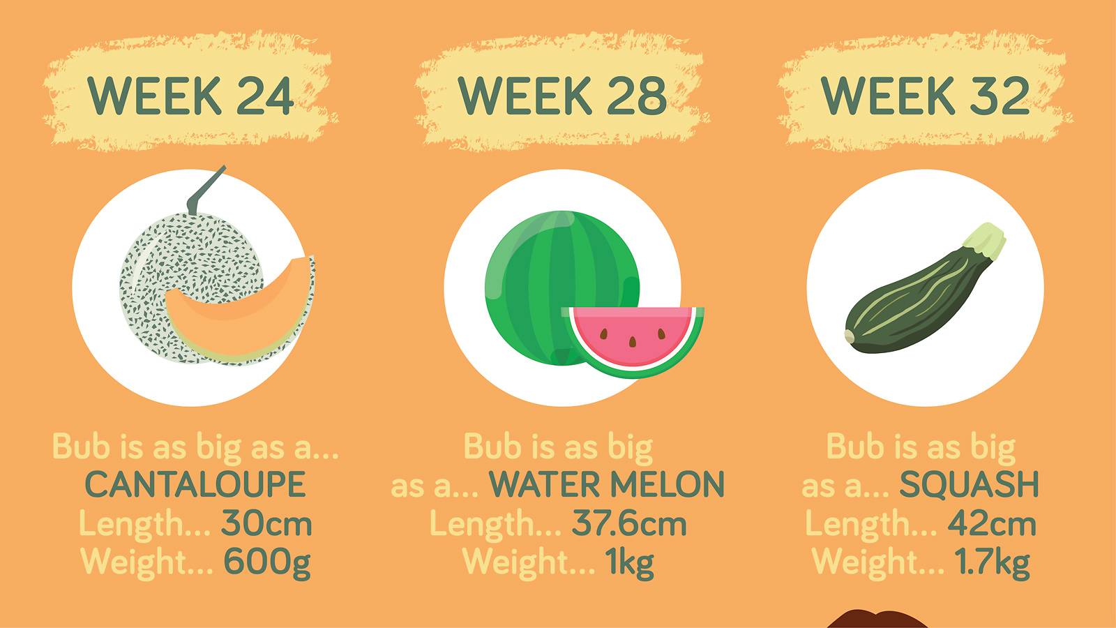 Pregnancy- Baby growth chart How big is your baby this week  [Infographic]-4