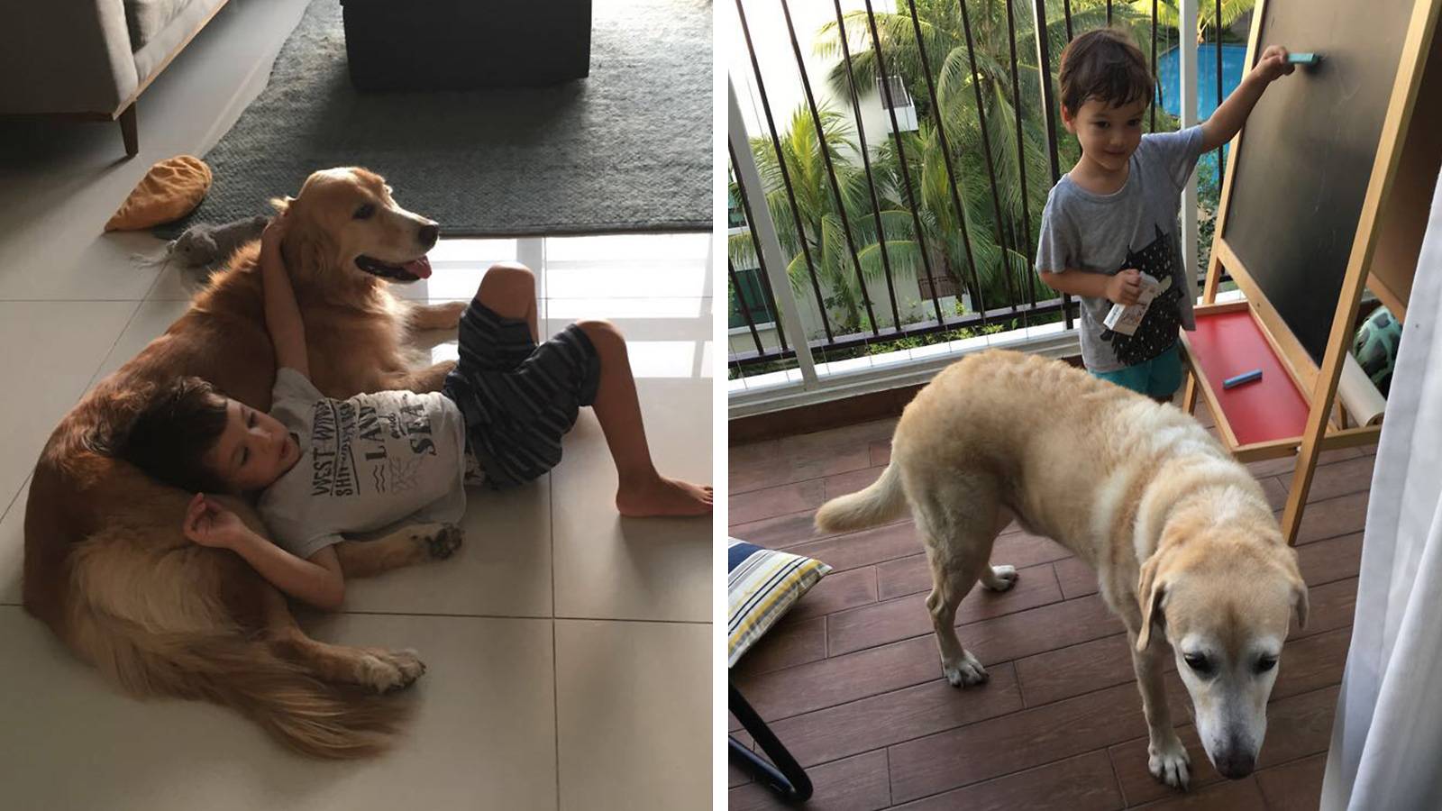 Tots-MUM-SAYS-Having-dogs-has-taught-my-kids-empathy-3