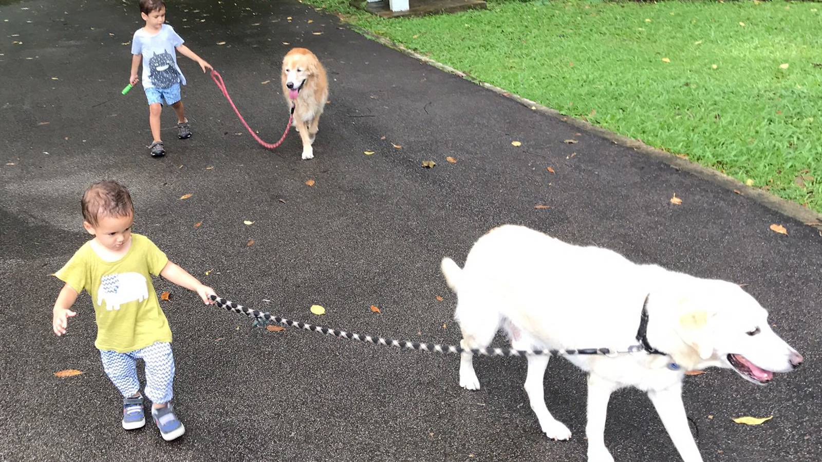 Tots-MUM-SAYS-Having-dogs-has-taught-my-kids-empathy-MAIN