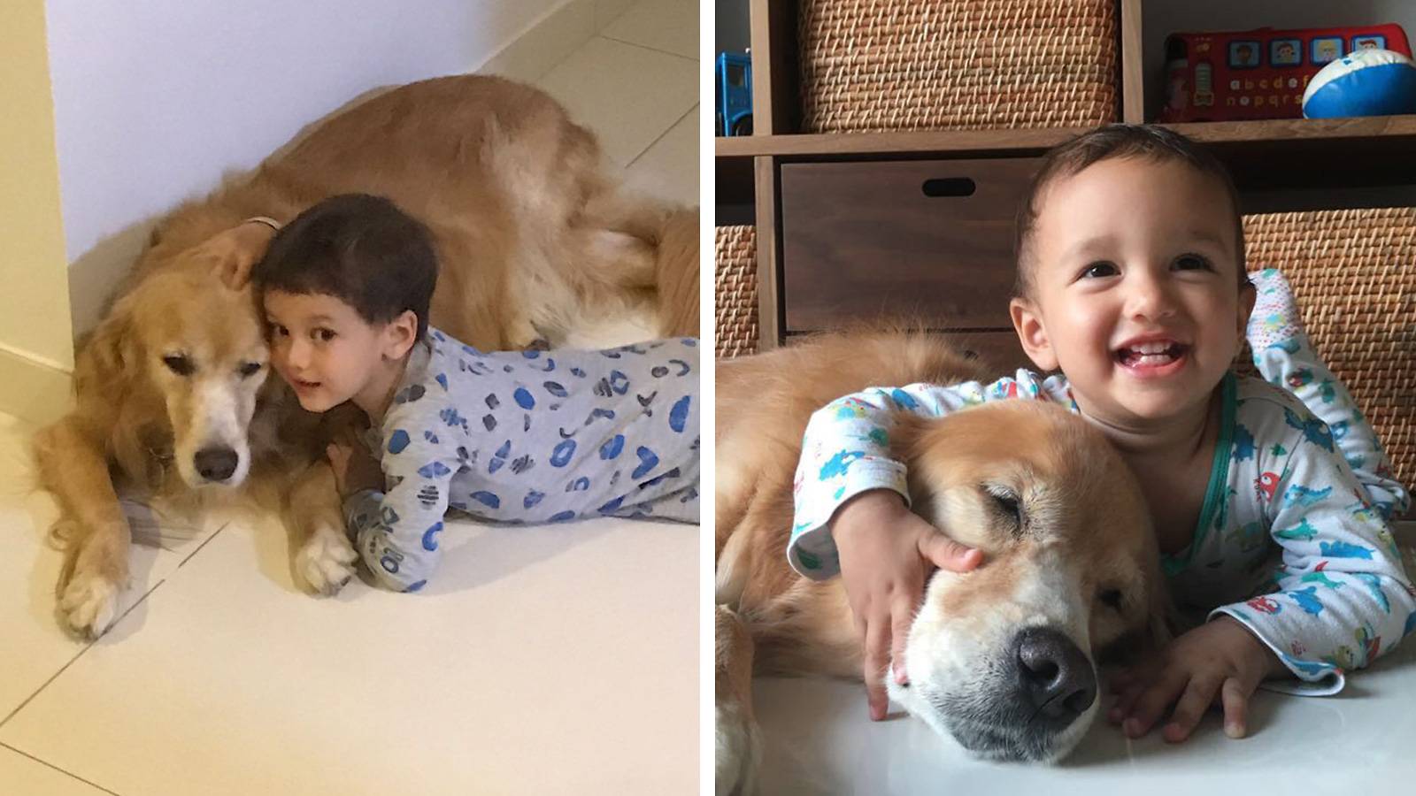Tots-MUM-SAYS-Having-dogs-has-taught-my-kids-empathy-2