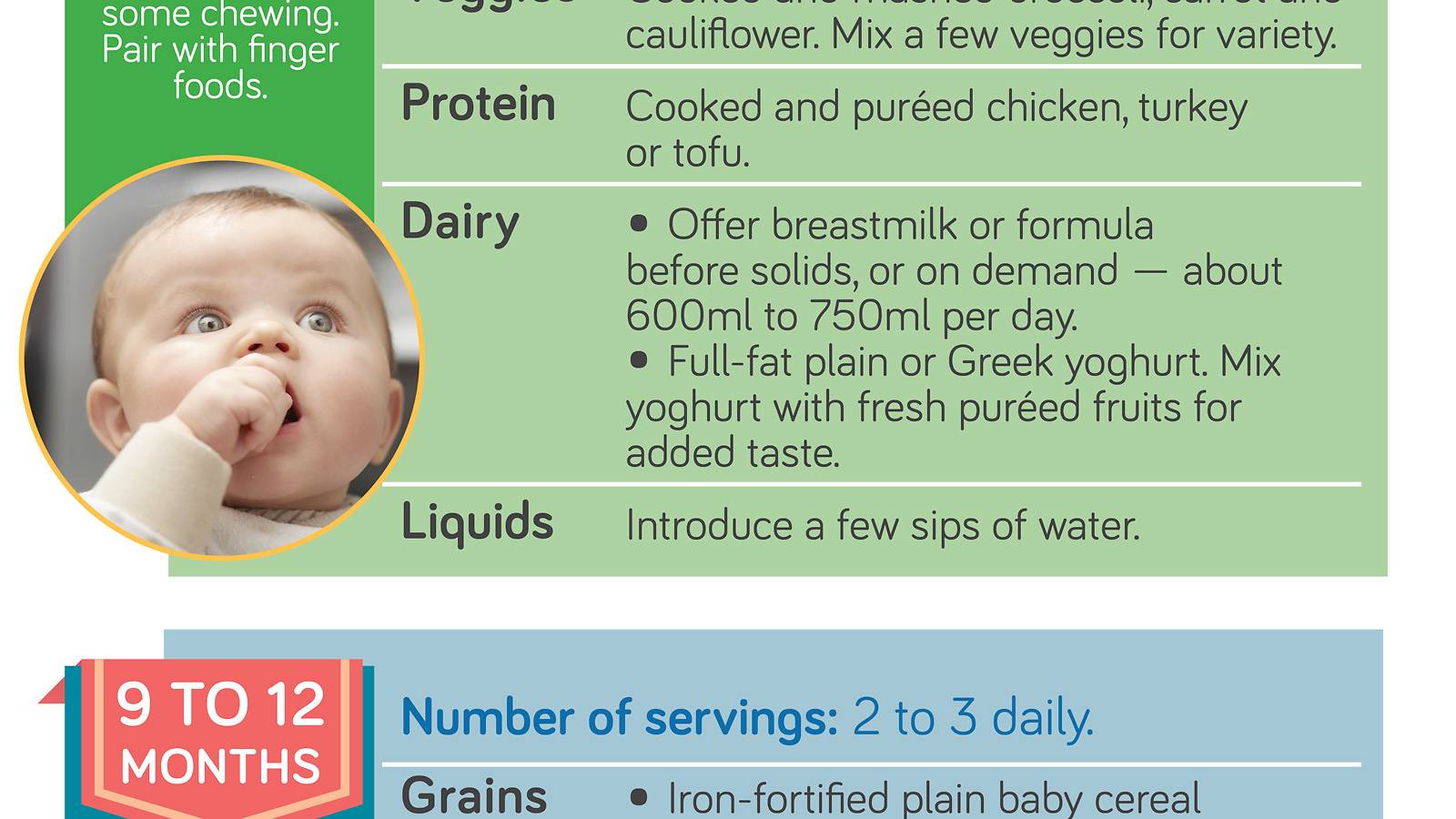 Babies-Your-by-month-guide-to-feeding-baby-Infographics-4