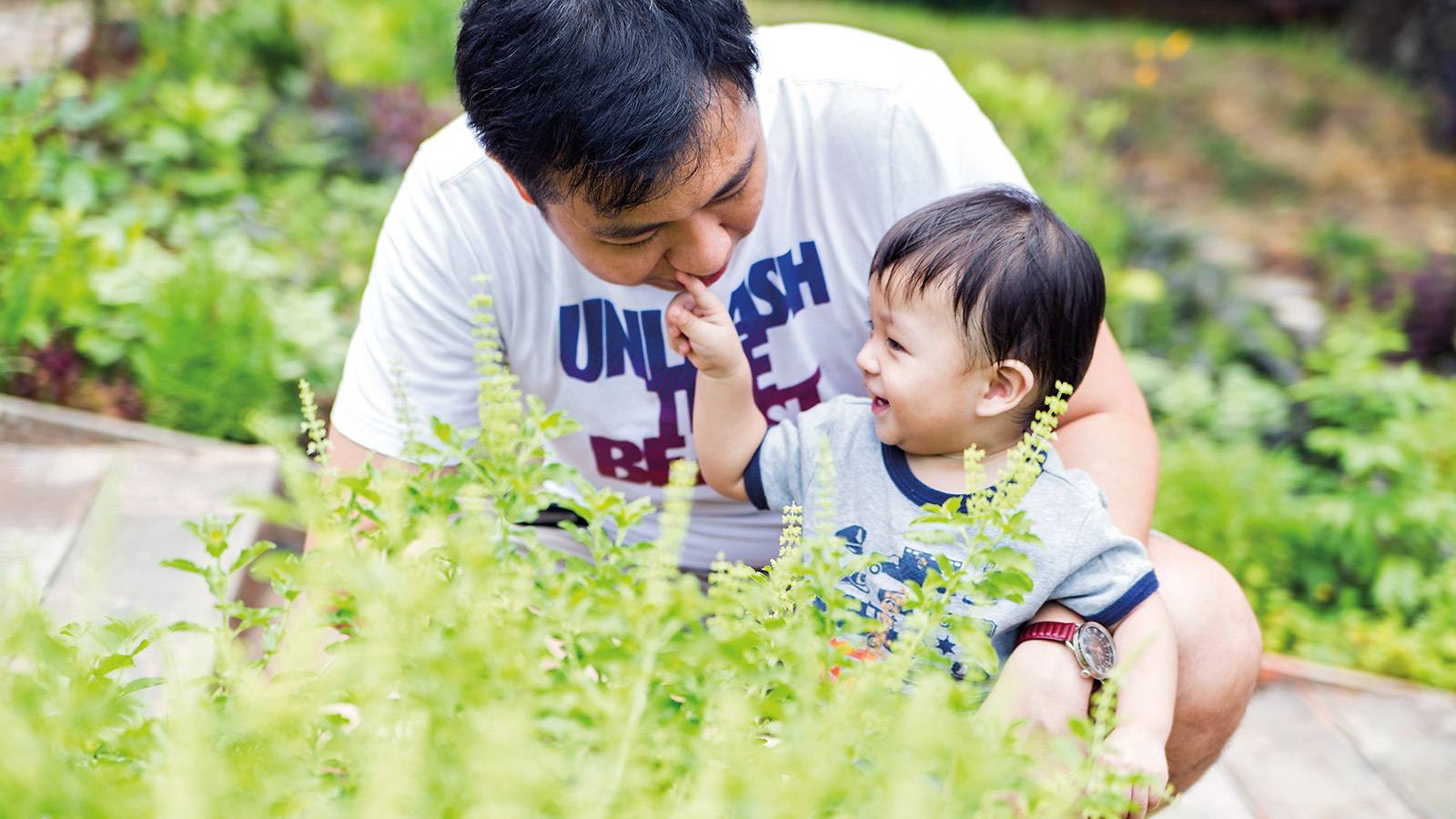 Restaurant-Reviews-Open-Farm-Community-MAIN