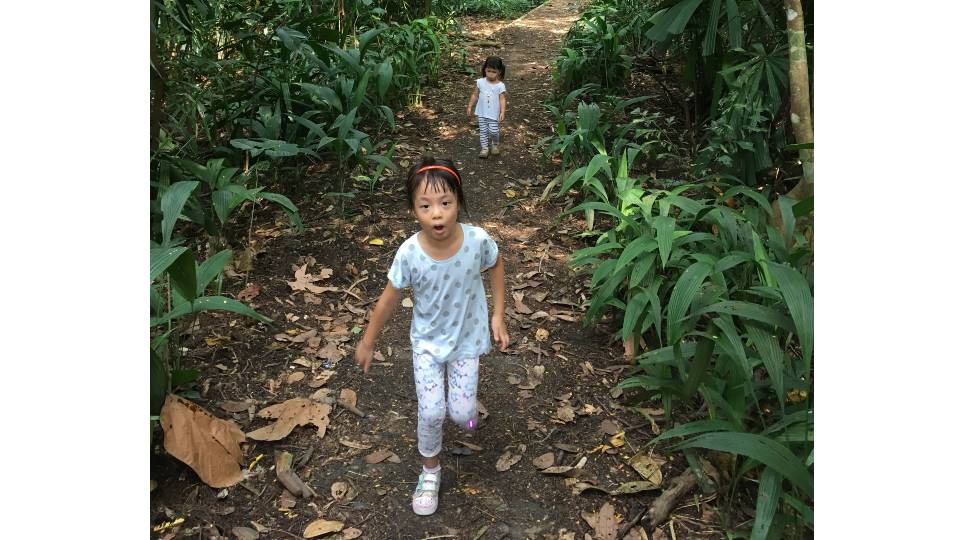 Parents-MUM SAYS 5 things my kids have learned-from-nature-outings-2.jpg