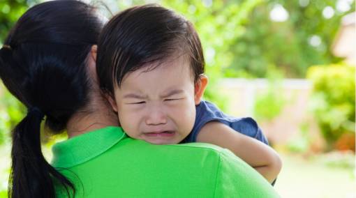 Domestic helpers yes or no