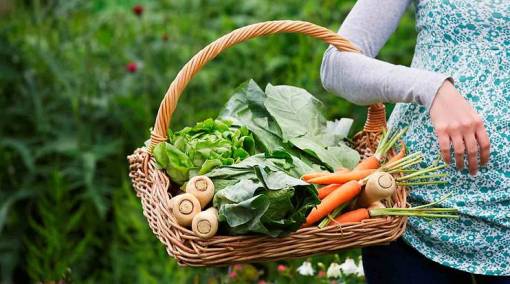 Guide to online organic shopping