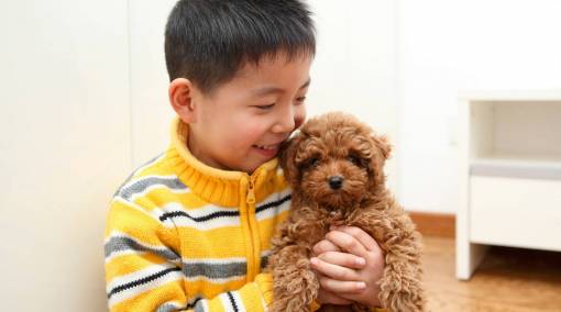 Kids--Getting-a-family-pet-6-facts-to-note