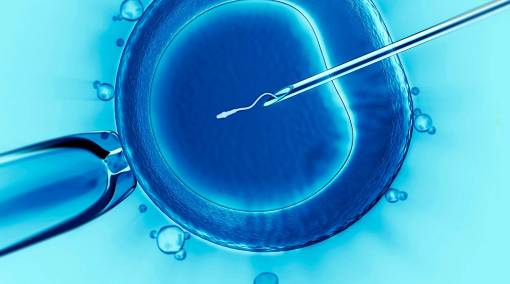 Conceiving-–-Facts-about-egg-and-sperm-donation-in-Singapore