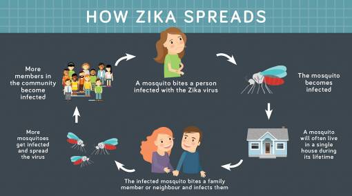 Parents-All-you-need-to-know-about-Zika1