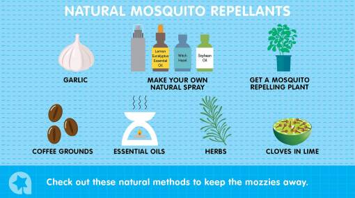 Parents-–-Natural-ways-to-keep-mosquitoes-at-bay-2