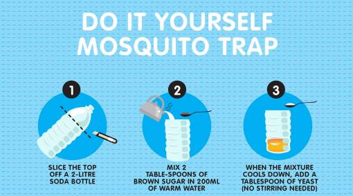Parents-–-Natural-ways-to-keep-mosquitoes-at-bay-5