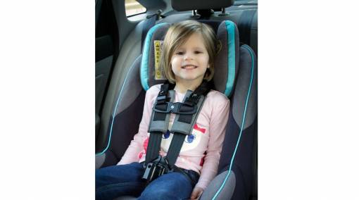 Merritt Manufacturing Chest Clip Guard for Car Seat