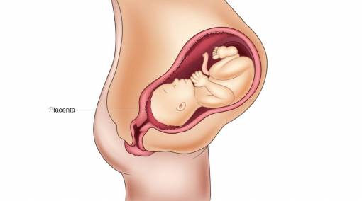 Pregnancy-4-frightening-placental-conditions-to-look-out-for-1