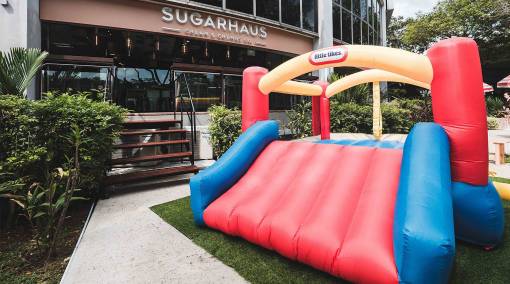 sugarhaus-sh8fb